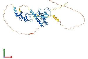 Protein Structure (PS) image for ISL LIM Homeobox 1 (ISL1) (AA 1-349) protein (His tag) (ABIN7548648)