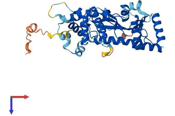 HARBI1 Protein (AA 1-349) (His tag)