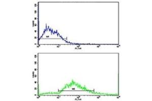 Flow cytometric analysis of SK-Br-3 cells using CD11c antibody (bottom histogram) compared to a negative control (top histogram). (CD11c Antikörper  (AA 1119-1145))