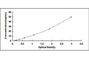 SOD3 ELISA Kit