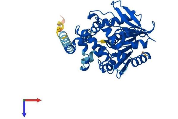 EPHX4 Protein (AA 1-359) (His tag)