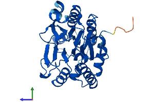 AlphaFold protein structure predicition of Mouse Recombinant Cpped1 Protein, UniprotID Q8BFS6 (Cpped1 Protein (AA 1-312) (His tag))