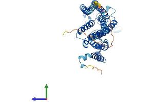 Protein Structure (PS) image for Translocation Associated Membrane Protein 2 (TRAM2) (AA 1-370) protein (His tag) (ABIN7560266)