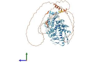 AlphaFold protein structure predicition of Human Recombinant ZNF235 Protein, UniprotID Q14590