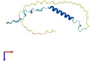 ANAPC15 Protein (AA 1-121) (His tag)