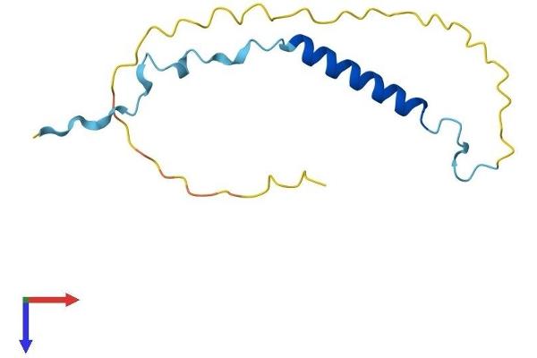 ANAPC15 Protein (AA 1-121) (His tag)