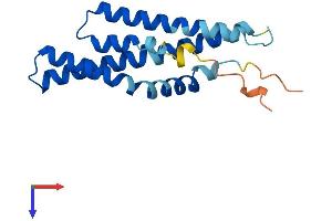Mtfp1 Protein (AA 1-166) (His tag)