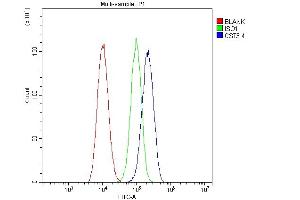 Flow Cytometry analysis of A549 cells using anti-Cystatin C/CST3 antibody (ABIN6719299). (CST3 Antikörper  (AA 31-146))