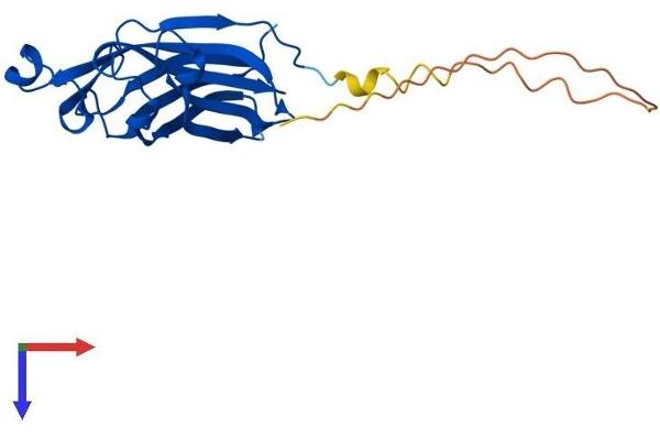 ASF1A Protein (AA 1-204) (His tag)