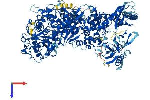 Nucleolar Protein 6 Protein (NOL6) (AA 1-1146) (His tag)
