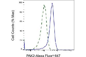 Validation of PAK2 knockdown using flow cytometry. (Rekombinanter PAK2 Antikörper)