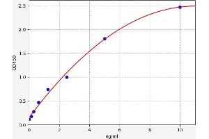 Typical standard curve (FUT7 ELISA Kit)