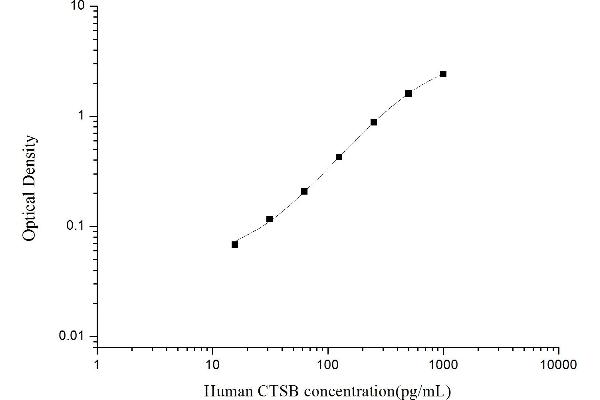 Cathepsin B ELISA Kit