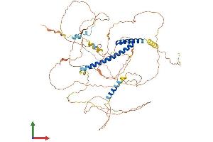 Protein Structure (PS) image for Transcription Factor 3 (E2A Immunoglobulin Enhancer Binding Factors E12/E47) (TCF3) (AA 1-654) protein (His tag) (ABIN7555765)