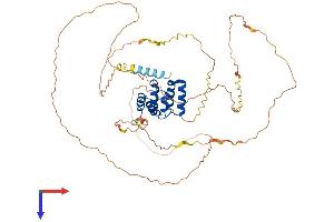 MAVS Protein (AA 1-503) (His tag)