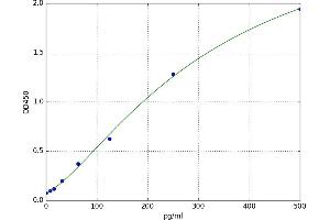 Growth Regulated Oncogene gamma (GRO gamma) ELISA Kit