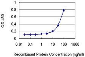 Detection limit for recombinant GST tagged HIPK4 is 3 ng/ml as a capture antibody. (HIPK4 Antikörper  (AA 519-616))