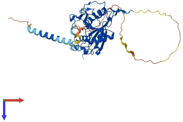 B4GALT1 Protein (AA 1-398) (His tag)