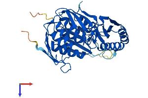 RCL1 Protein (AA 1-373) (His tag)