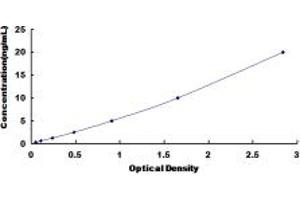 Typical standard curve (NFRKB ELISA Kit)