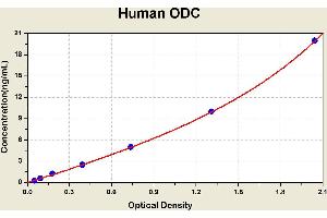 Diagramm of the ELISA kit to detect Human ODCwith the optical density on the x-axis and the concentration on the y-axis. (ODC1 ELISA Kit)