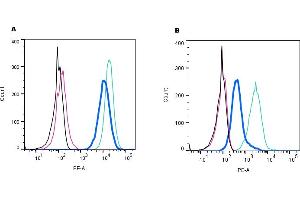 Establishing the effectiveness of the Rabbit IgG Isotype Control, alongside cell surface detection of NK1R by indirect flow cytometry in live intact mouse J774 macrophage cell line. (Kaninchen IgG Isotyp-Kontrolle)