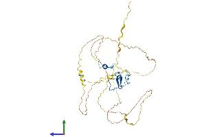 AlphaFold protein structure predicition of Mouse Recombinant Phf23 Protein, UniprotID Q8BSN5