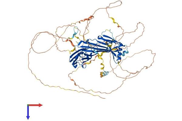 SGIP1 Protein (AA 1-806) (His tag)