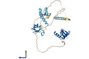 Protein Structure (PS) image for Ly1 Antibody Reactive (LYAR) (AA 1-379) protein (His tag) (ABIN7549260)