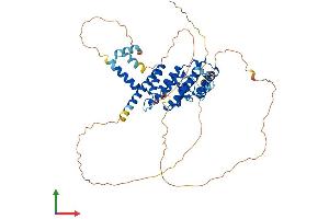 Protein Structure (PS) image for Telomeric Repeat Binding Factor 2 (TERF2) (AA 1-542) protein (His tag) (ABIN7555714)