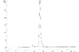 Size-exclusion chromatography-High Pressure Liquid Chromatography (SEC-HPLC) image for CD27 Molecule (CD27) (AA 24-182) protein (mFc Tag) (ABIN7274123)