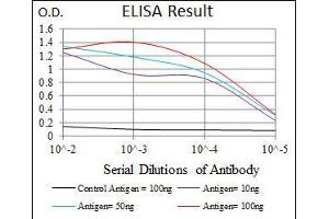 Black line: Control Antigen (100 ng), Purple line: Antigen(10 ng), Blue line: Antigen (50 ng), Red line: Antigen (100 ng), (CD6 Antikörper  (AA 472-668))