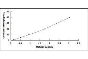 ELISA image for Cathepsin S (CTSS) ELISA Kit (ABIN432421)