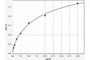 ZAP70 ELISA Kit