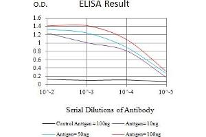 Black line: Control Antigen (100 ng),Purple line: Antigen (10 ng), Blue line: Antigen (50 ng), Red line:Antigen (100 ng) (FADD Antikörper  (AA 20-150))