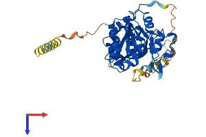 LFNG Protein (AA 1-378) (His tag)