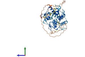 Protein Structure (PS) image for Zinc Finger Protein 773 (ZNF773) (AA 1-442) protein (His tag) (ABIN7545399)