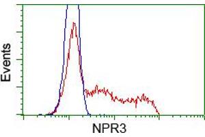Flow Cytometry (FACS) image for anti-Atrial Natriuretic Peptide Receptor 3 (NPR3) antibody (ABIN1499807)