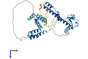 DNAJB12 Protein (AA 1-375) (His tag)