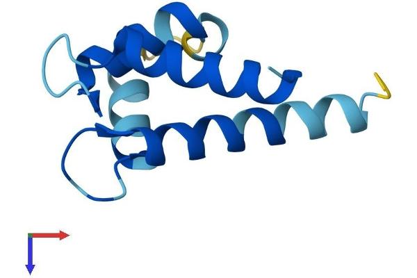 S100P Protein (AA 1-95) (His tag)