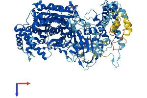 UBA7 Protein (AA 1-1012) (His tag)