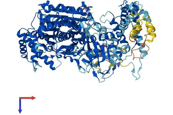 UBA7 Protein (AA 1-1012) (His tag)