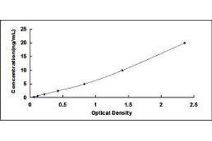 Typical standard curve (REG3g ELISA Kit)