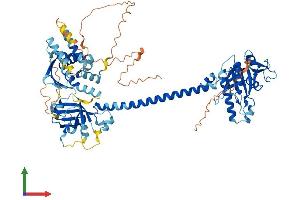 Protein Structure (PS) image for Guanylate Cyclase 1, Soluble, alpha 2 (GUCY1A2) (AA 1-732) protein (His tag) (ABIN7547936)