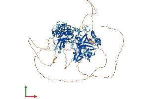 Protein Structure (PS) image for DNA (Cytosine-5-)-Methyltransferase 3 beta (DNMT3B) (AA 1-859) protein (His tag) (ABIN7562616)