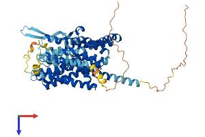 SLC1A4 Protein (AA 1-532) (His tag)