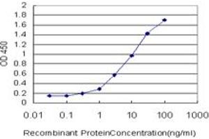 Detection limit for recombinant GST tagged GHRL is approximately 0. (Ghrelin Antikörper  (AA 1-117))