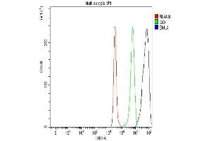 Flow Cytometry analysis of A549 cells using anti-EML4 antibody (ABIN6719384). (EML4 Antikörper  (AA 207-423))