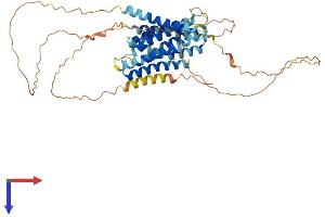SLC39A7 Protein (AA 1-476) (His tag)