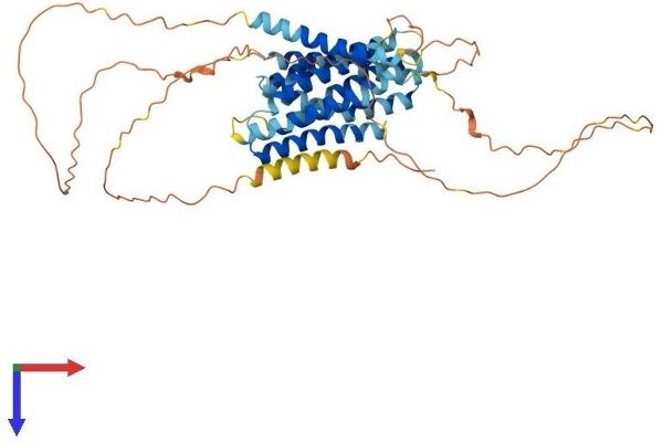 SLC39A7 Protein (AA 1-476) (His tag)